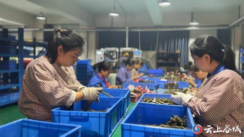 年銷售收入突破8000萬(wàn)元！襄陽(yáng)立強(qiáng)機(jī)械訂單飽和產(chǎn)銷兩旺