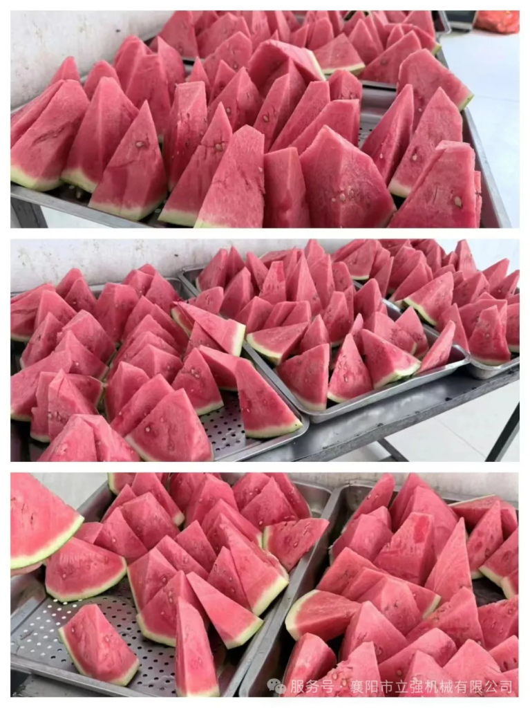 盛夏深耕結(jié)碩果，創(chuàng)新奮進正當(dāng)時（七月篇）